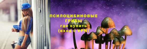 сатива Балахна