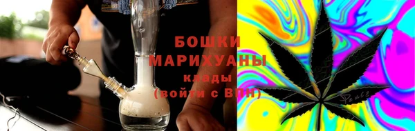 сатива Балахна