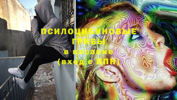 хмурый Балабаново