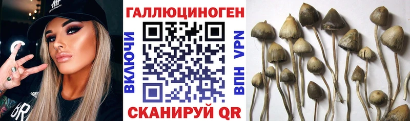Псилоцибиновые грибы MAGIC MUSHROOMS как найти закладки Горнозаводск